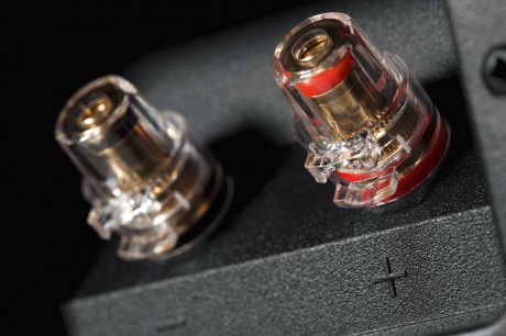 Dynaudio_Focus_terminaler
