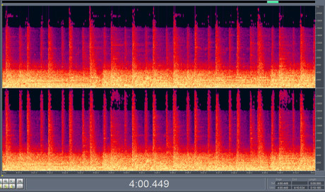 10 sekunder i 320 KBPS Et 10 sekunders utdrag av sangen ”Baby Loves that Way” av David Bowie viser at informasjonen under 16 kHz er godt bevart.