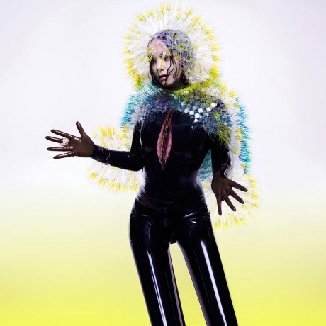Omslagsbildet til Björks nye album "Vulnicura".