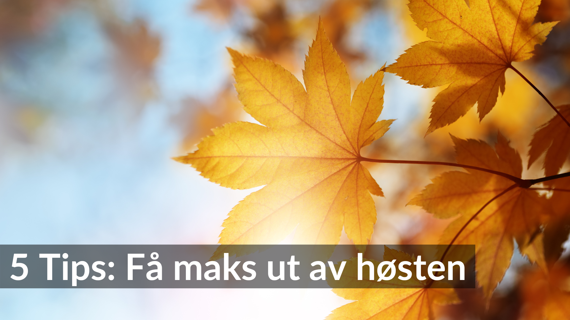 Få maks ut av høstkosen: 5 trendy tips