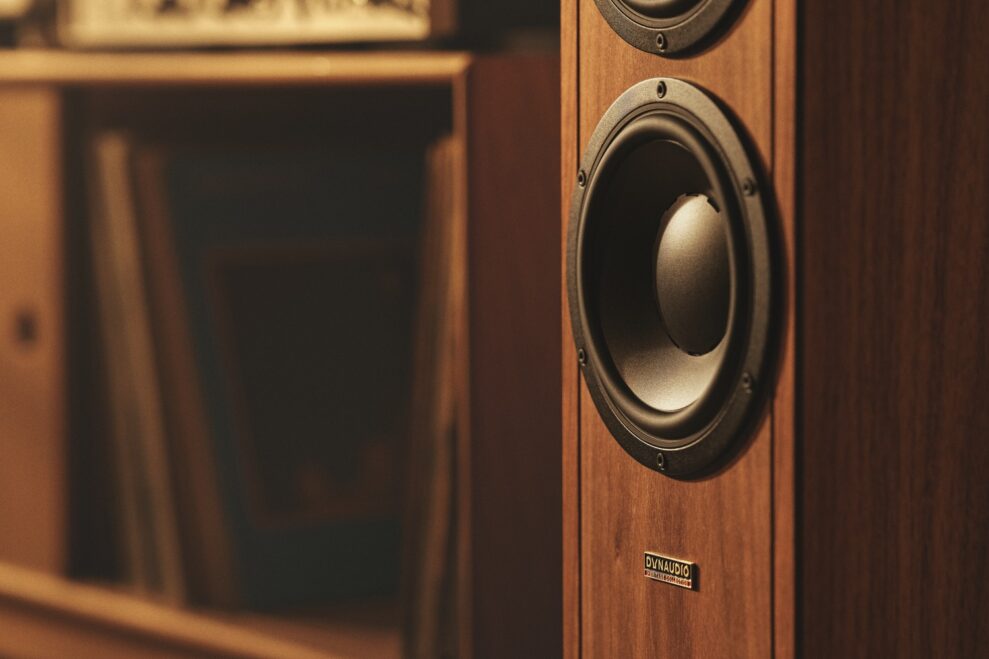 Dynaudio Contour Legacy 4