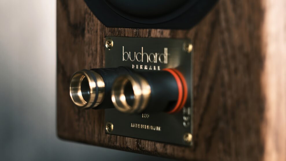 Buchardt Audio E50 terminals