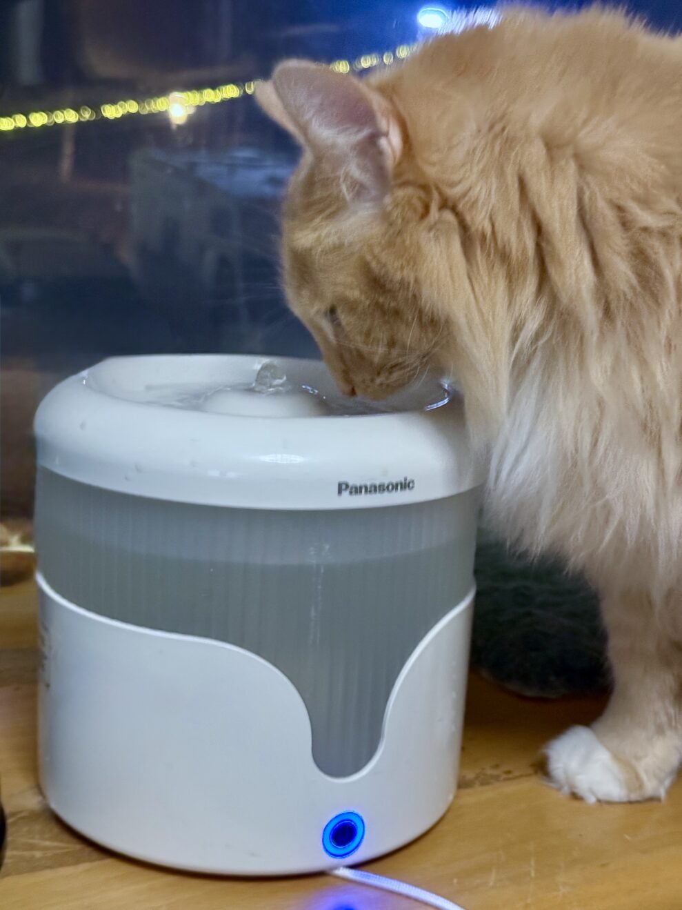 Panasonic Pet Drinking Fountain CP-JNW01-W 5