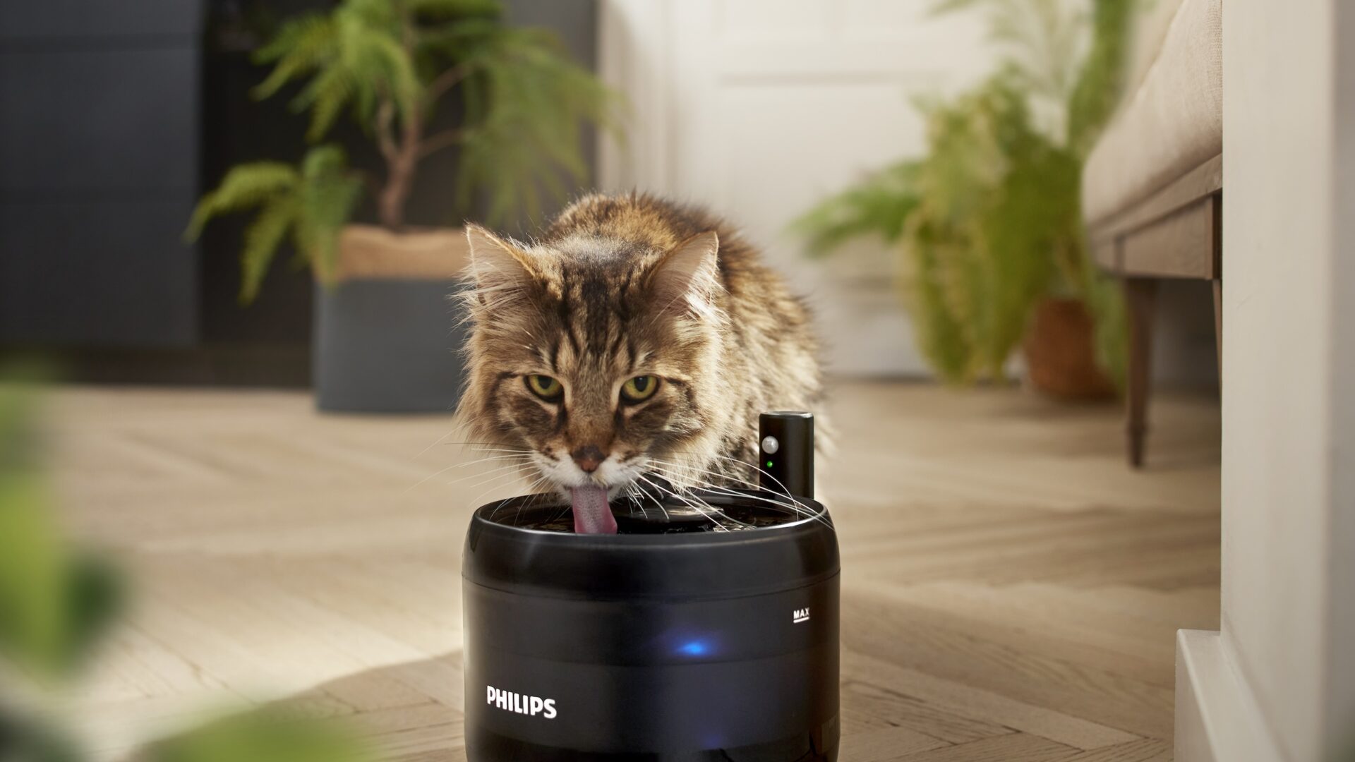 Philips Water Fountain PAW3210