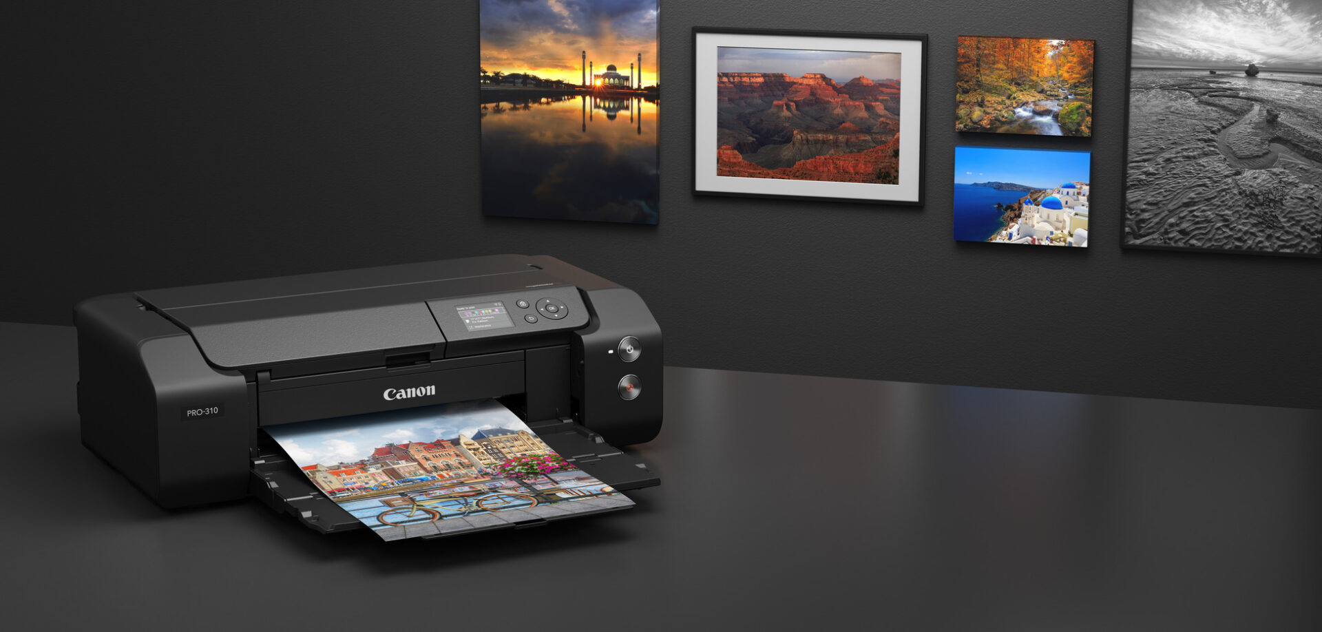 Canon imagePROGRAF PRO-310 printer